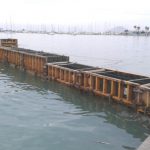 El GOB pide la paralización de las obras de un "pantalán ilegal" en el Puerto de Pollença