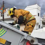 Rescatan a un gato atrapado en un tejado