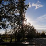 EL TIEMPO / Domingo soleado con intervalos nubosos en Balears