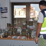 Detenidos los responsables de una asociación de cannabis en el Port de Pollença