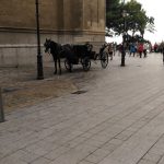 Actúa Balears carga contra Cort por permitir que las galeras circulen a pesar de la alerta naranja por lluvias