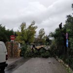 El temporal y los fuertes vientos dejan un reguero de incidentes en Mallorca