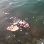 Campaña 'online' masiva para limpiar las aguas de Palma