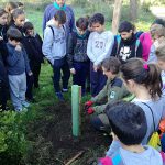 Los alumnos de Alcúdia inician la reforestación del Puig de Sant Martí