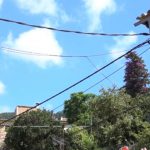 Estellencs declara la guerra a los cables colgados en las calles del municipio