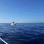 Interceptan a cuatro pescadores furtivos de lampuga en el sur de Mallorca