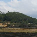 Extinguido un incendio agrícola en la carretera de Sineu a Ariany