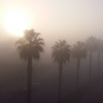 La niebla invade Mallorca