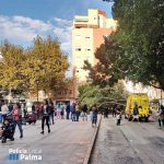Dos heridos al caerse un árbol de grandes dimensiones en la plaza de Pere Garau