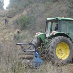 Endesa invierte 188.000 euros en limpiar de masa forestal la línea de distribución de Menorca
