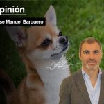 De chihuahuas y coitos