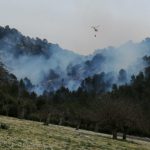 Los bomberos trabajan en apagar un incendio en el Raiguer de Mallorca