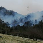 Extinguido el incendio forestal en Son Ordines tras quemar 9 hectáreas