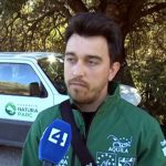Natura Parc evalúa la reintroducción del águila coabarrada en Mallorca con el proyecto AQUILA a-LIFE