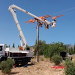 Endesa invierte 200.000 euros en mejorar las líneas de media tensión de Baleares para proteger la avifauna local