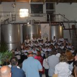 Concierto de L’Orfeo de la Universitat de Les Illes Balears en las bodegas Vins Nadal
