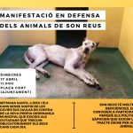 Convocan una manifestación en defensa de los animales de Son Reus