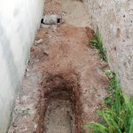 No hay resultados para exhumar la fosa común del cementerio de Bunyola