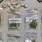 Detenido un varón por ocultar en jardineras urbanas de la Lonja cantidades de marihuana y cocaína