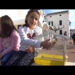 Menorca bendice a sus animales