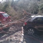 El temporal provoca 56 incidentes en Balears
