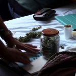 Desmantelada una banda dedicada a la venta de marihuana en Felanitx y Santanyí