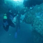 Menorca se convierte en la Reseva de Biosfera Marina más grande del Mediterráneo
