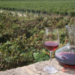 Aumenta un 13% la exportación de vino balear a la Unión Europea