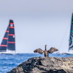 La falta de viento cancela la segunda jornada de Menorca 52 Super Series