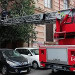 Cae una higuera en Palma y afecta a dos turismos aparcados en la zona de institutos