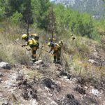Gran despliegue de medios para sofocar los cuatro incendios declarados en Mallorca