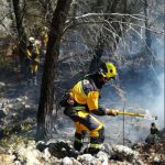 Extinguen un incendio forestal en Port Des Torrent (Eivissa)