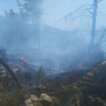 Controlado el incendio forestal declarado en Sant Joan de Labritja