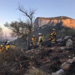 Extinguido el incendio forestal en Alaró