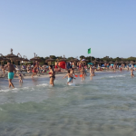El GOB denuncia la sobreocupación de sombrillas y tumbonas en la playa de sa Coma