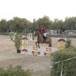 La Real Escuela Equitación de Mallorca celebra la 35 edición del Trofeo Infanta Elena de saltos