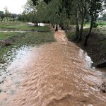 Cinco comunidades autónomas en riesgo por lluvia y tormentas