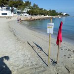 Cierran la playa de Caló d'en Serral (Eivissa) al detectar bacterias de E. coli