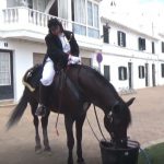 Veterinarios de guardia velan por el bienestar de los caballos en las fiestas de Menorca