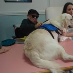 La Llar de Calvià incorpora una terapia canina para sus usuarios