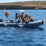 Liberadas tres tortugas en el mar de Eivissa tras recuperarse en centros especializados