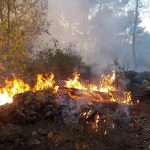 Dos medios aéreos y más de 20 personas actúan en las labores de extinción de un incendio en Esporles