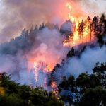 El incendio de Gran Canaria afecta a más de 6.000 hectáreas y obliga a evacuar a más de 9.000 personas