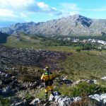 Mallorca y Menorca en riesgo extremo de incendio
