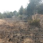 Incendio agrícola en Eivissa