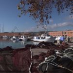 El sector pesquero transmite a Luis Planas su frustración por los acuerdos del Consejo de Pesca de la UE sobre el Mediterráneo