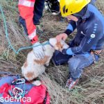 Rescatan a un perro atrapado en un vehículo que ha caído al torrente de Vinagrella