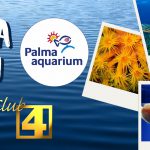 Los socios de Club4 podrán visitar Palma Aquarium por solo 11€