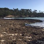 Preocupación en Santanyí por el estado de las playas tras el paso de 'Gloria'