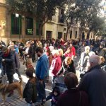 Centenares de personas participan con sus mascotas en las Beneïdes de Palma